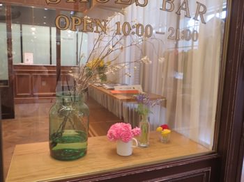 sutera130331 10.JPG