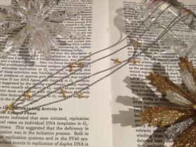 2013-12-09 026.jpg