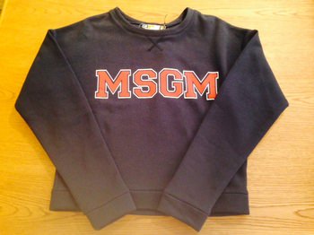 MSGM2.JPG
